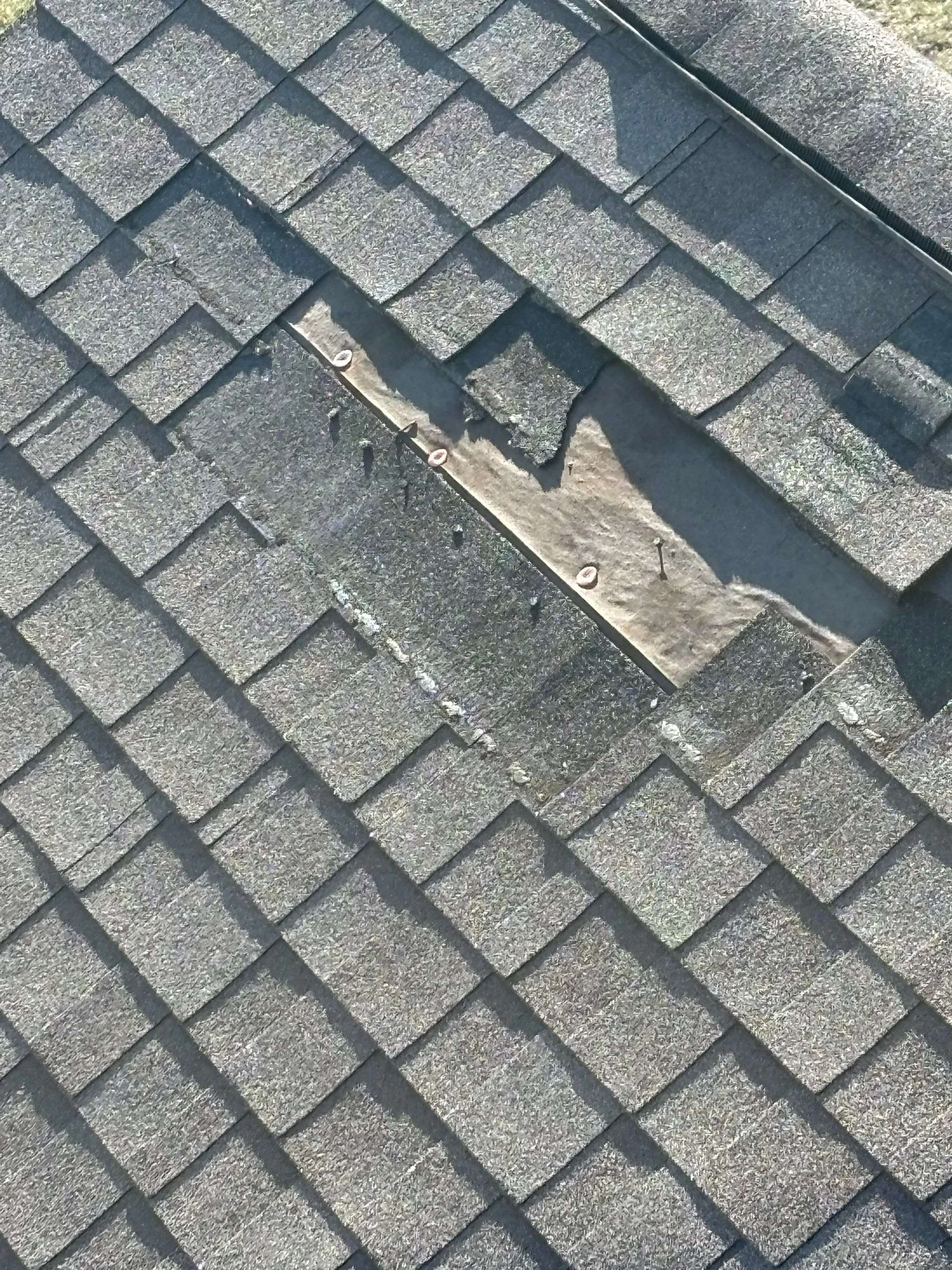 Can I Dry My Lagro Home Myself After Water Damage?